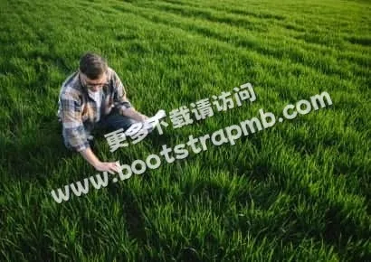 探索开云APP的体育世界 - 开云APP