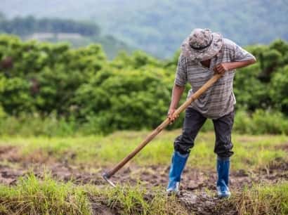 开云APP，打造更流畅的体育互动体验 - 开云APP