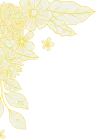 200+ - 开云APP