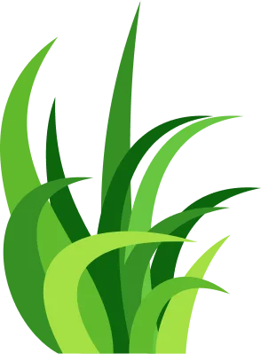 如何获取最新的开云APP版本？ - 开云APP