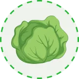 开云APP，您的掌上体育娱乐中心 - 开云APP