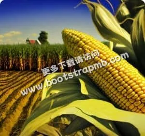 专业服务，安全保障，值得信赖 - 开云APP